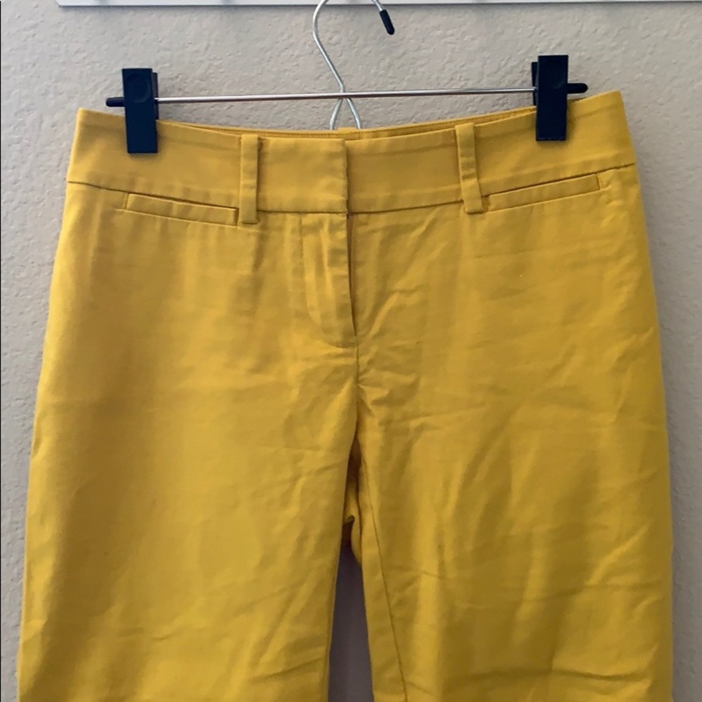 Loft capris